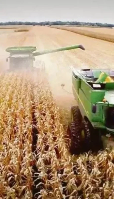 La estrategia del Gobierno para que el campo liquide rápido y haya fluidez de dólares empezó con una buena proyección.