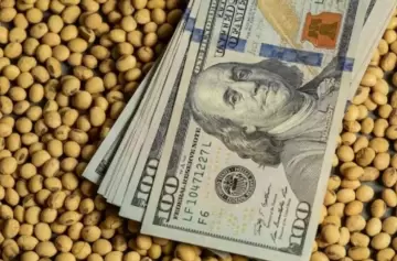 El Gobierno finalizó el arancel cero: los granos apabullaron las exportaciones y se alcanzó el cupo