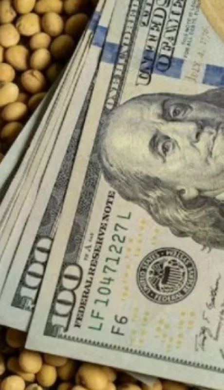 El gobierno dio por finalizado el esquema que superó todas las previsiones y se volverá al régimen anterior vigente.