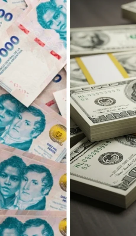 Ahorros y elecciones: qué dicen los expertos sobre dólar y plazos fijos.