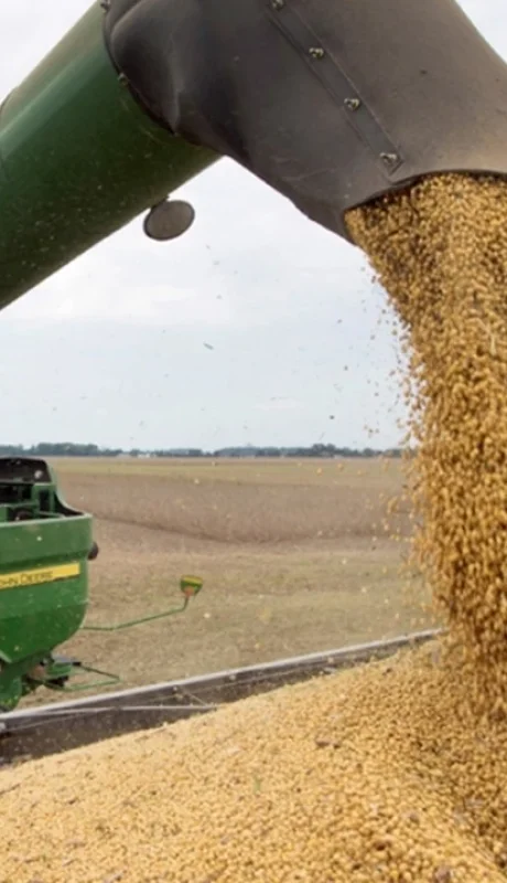 El campo liquidó US$ 7 mil millones en tiempo récord. (Foto ilustrativa: web)