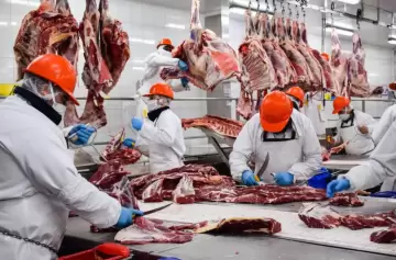 Ganadería: Argentina puede avanzar hacia "un modelo de país normal"