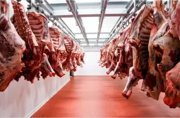 ¿Sube la carne a fin de año? El pronóstico de CAMYA sobre el precio del asado