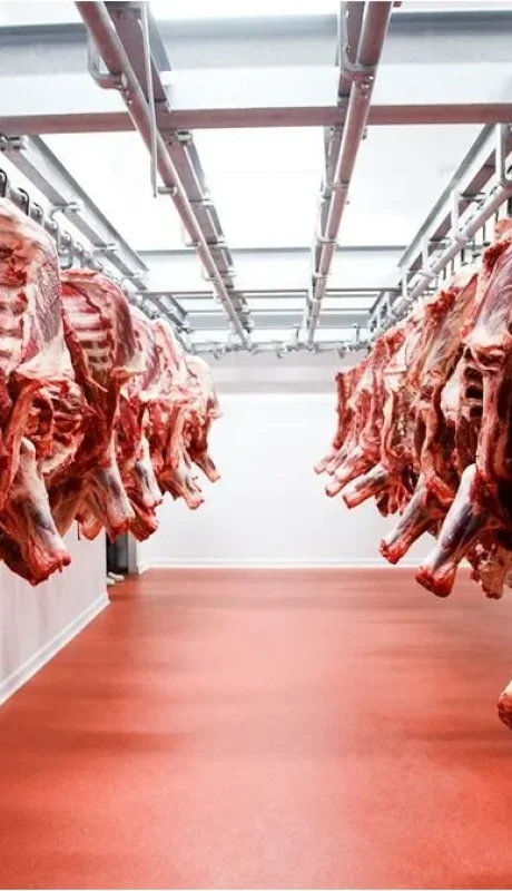 Récord de precios: el valor de la tonelada de carne se dispara y salva las exportaciones
