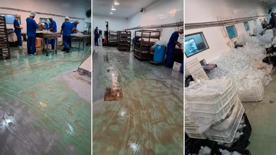 Interior del Laboratorio Ramallo, donde se fabricaba el fentanilo adulterado y contaminado.