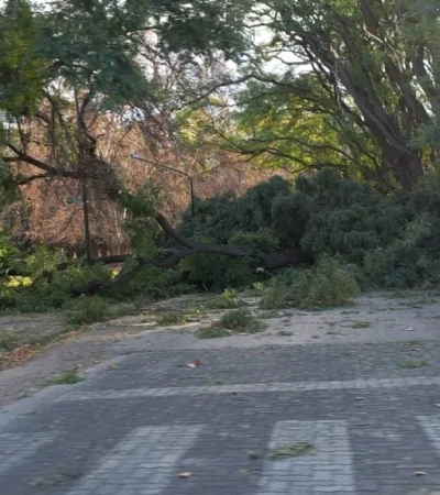 Las violentas ráfagas tomaron por sorpresa a casi toda la provincia cuyana.