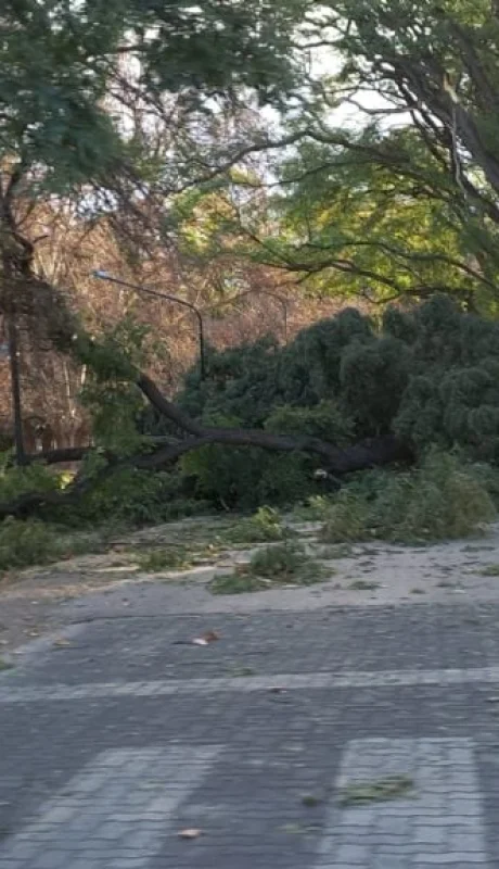 Las violentas ráfagas tomaron por sorpresa a casi toda la provincia cuyana.