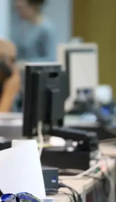 Celeridad, economía, eficacia y sencillez: los cuatro puntos en los que debería apoyarse la labor estatal.