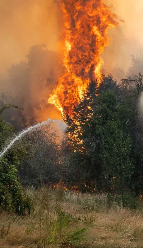 Alerta por incendios forestales.