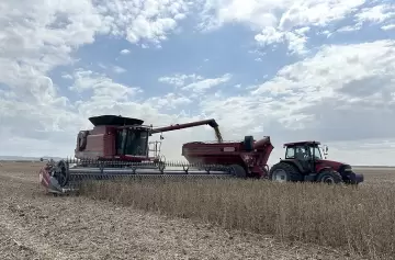 El agro argentino rompe récords: liquidación histórica de US$ 7.100 millones en septiembre