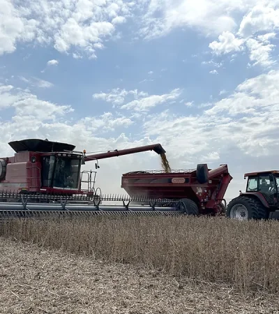 La cosecha de soja y otros cereales permitió un ingreso récord de dólares. (Foto: archivo web)