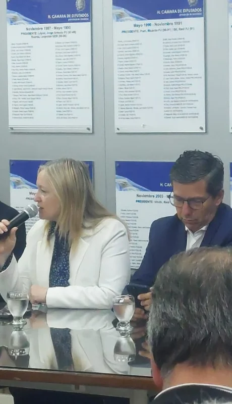 Presupuesto 2026 en Mendoza: eximen del impuesto automotor a autos 2005 y motos de hasta $10 millones.