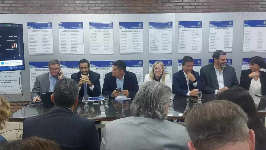 Presupuesto 2026 en Mendoza: eximen del impuesto automotor a autos 2005 y motos de hasta $10 millones.