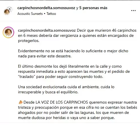 Desde La voz de los carpinchos denunciaron que murieron 46 carpinchos en los últimos 6 meses/ Fuente: Instagram