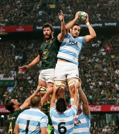 Los Pumas ante Springboks