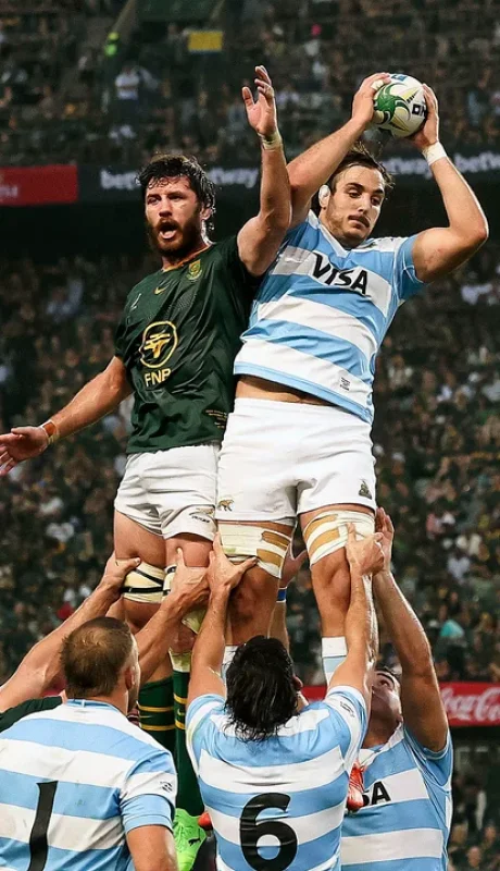 Los Pumas ante Springboks