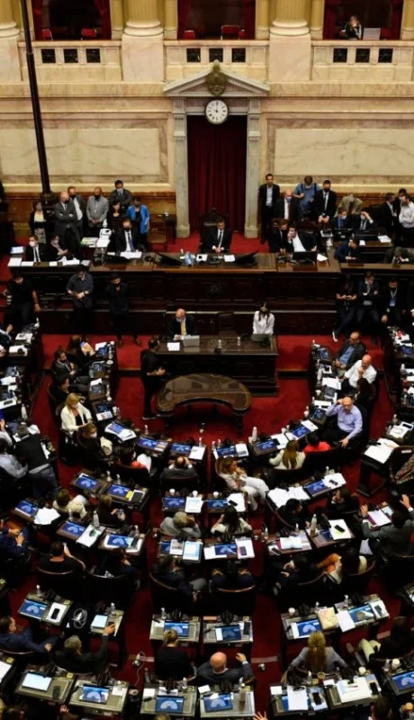 La oposición proyecta aprobar una ley que acote el uso de DNUs y, al mismo tiempo, impulsará la remoción de Espert.