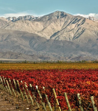 ¡Vinexpo Explorer es un éxito de negocios! Las bodegas han invertido mucho menos y van a lograr posicionarse con alrededor de 80 compradores globales.