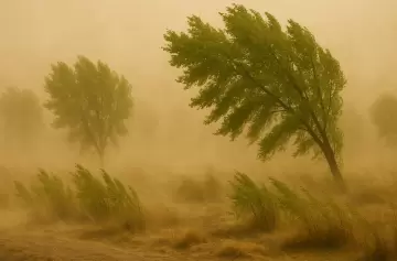 Alerta por Zonda en Mendoza: pronostican 30° y ráfagas intensas para este jueves