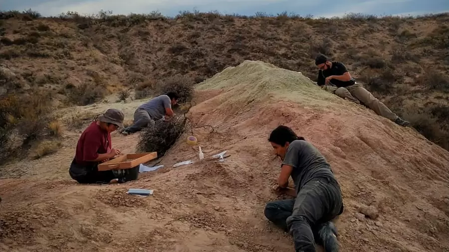 El trabajo se realizó en el monte patagónico, en la provincia de Río Negro.