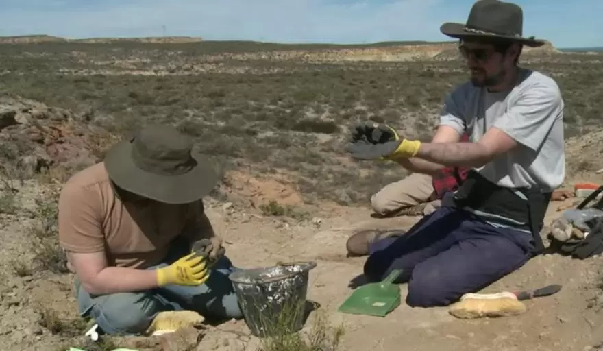 "Es algo grandioso. Lo más sobresaliente es haber encontrado un huevo de ese tamaño y en estas condiciones" (G. Lo Coco).