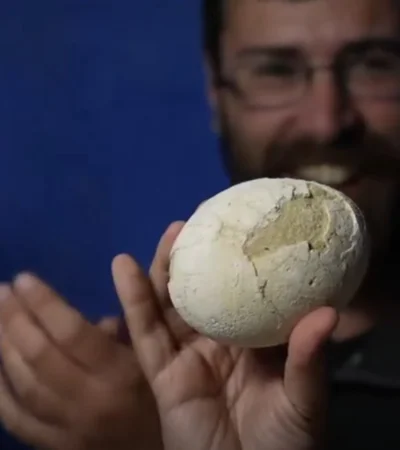 "Si hay uno de esos restos, puede que haya muchos más ahí" (G. Lo Coco).