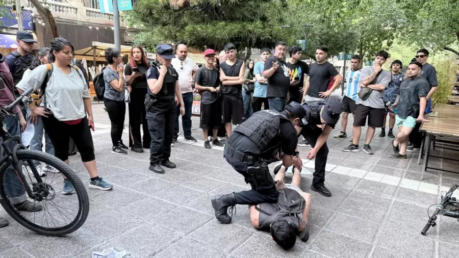 Un manifestante fue detenido por romper una bandera de LLA.