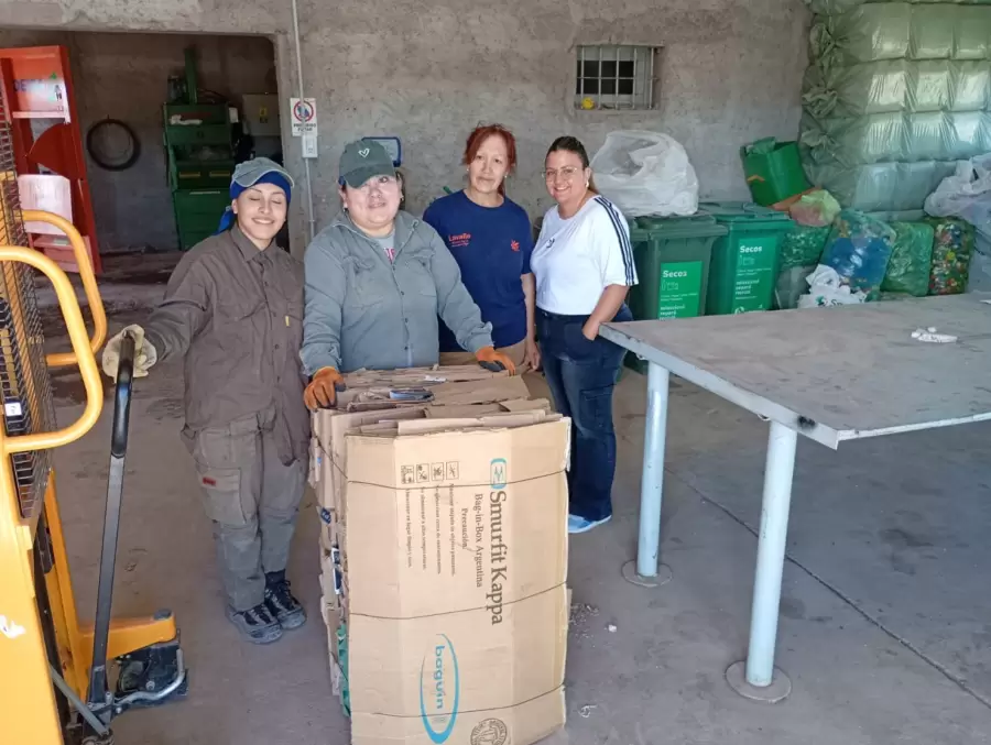 Tratamiento y selección