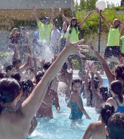 El proyecto de ley apunta regular, supervisar y determinar responsabilidades.