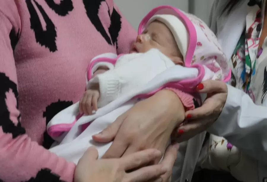 La realidad actual es que la mayoría de las familias en sus instituciones tienen "un solo hijo".