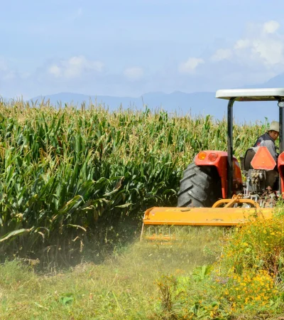 "La inversión está paralizada en el campo. Necesitamos tener perspectiva de futuro y seguridad de que no tendremos un desorden económico".