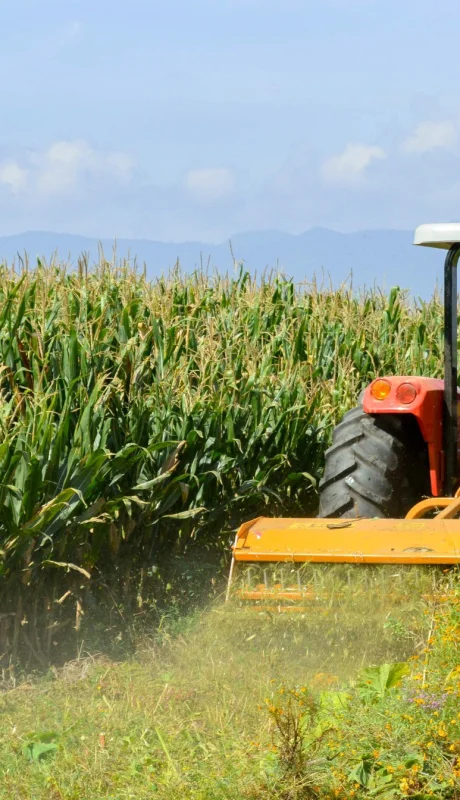 "La inversión está paralizada en el campo. Necesitamos tener perspectiva de futuro y seguridad de que no tendremos un desorden económico".