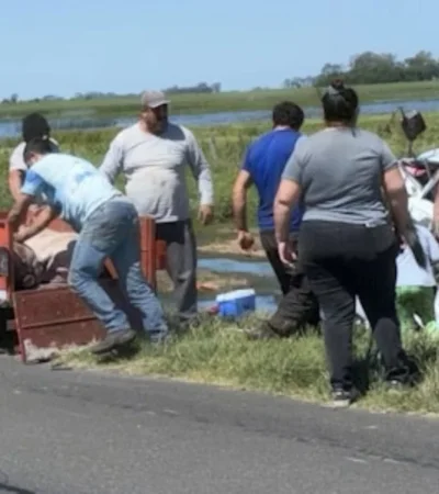 El vehículo, que transportaba animales vivos, perdió el control tras morder la banquina y terminó volcado.