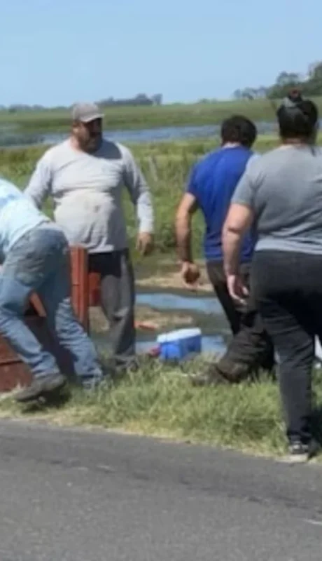 El vehículo, que transportaba animales vivos, perdió el control tras morder la banquina y terminó volcado.