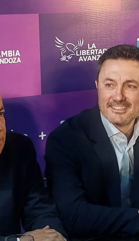 Luis Petri respondió sobre la salida del canciller y adelantó que el Presidente realizará nuevas modificaciones en el Gabinete. /