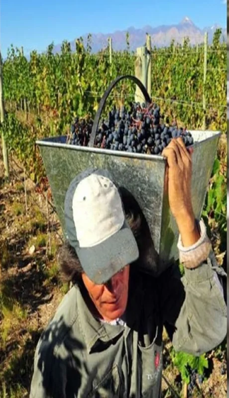 Vargas Arizu reconoció que existe una necesidad de cambio en la matriz productiva de la provincia.