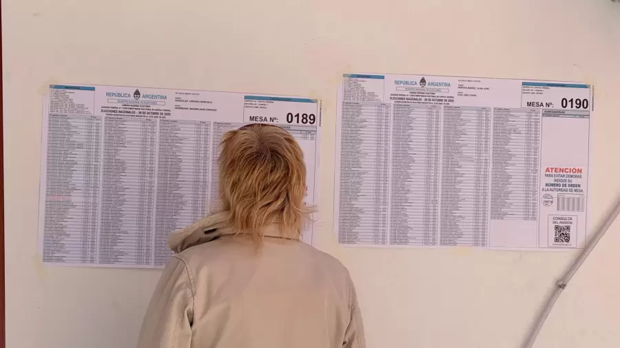 Extranjeros y elecciones 2025: qué dice la ley sobre su participación.