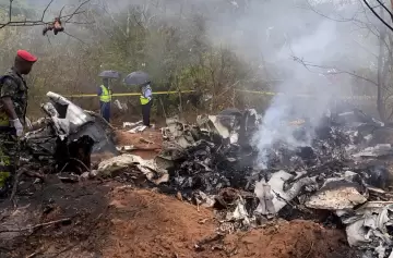 El horror: una avioneta cayó diez minutos después de despegar hacia el safari soñado