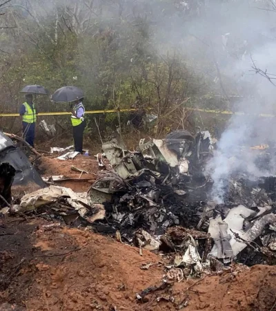 El horror: una avioneta cayó diez minutos después de despegar hacia el safari soñado