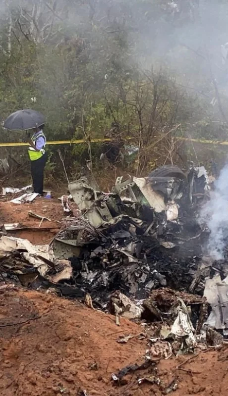 El horror: una avioneta cayó diez minutos después de despegar hacia el safari soñado