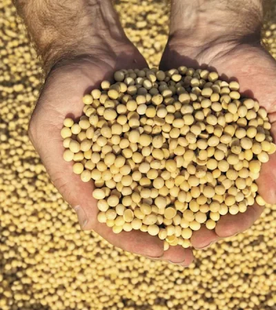 El impulso en los precios se vincula con el avance en las negociaciones comerciales entre Estados Unidos y China.