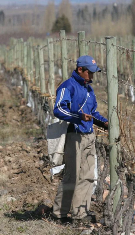 Dado que la prevención de la helada es imposible, al ser un fenómeno climático, la clave radica en la preparación y mitigación.