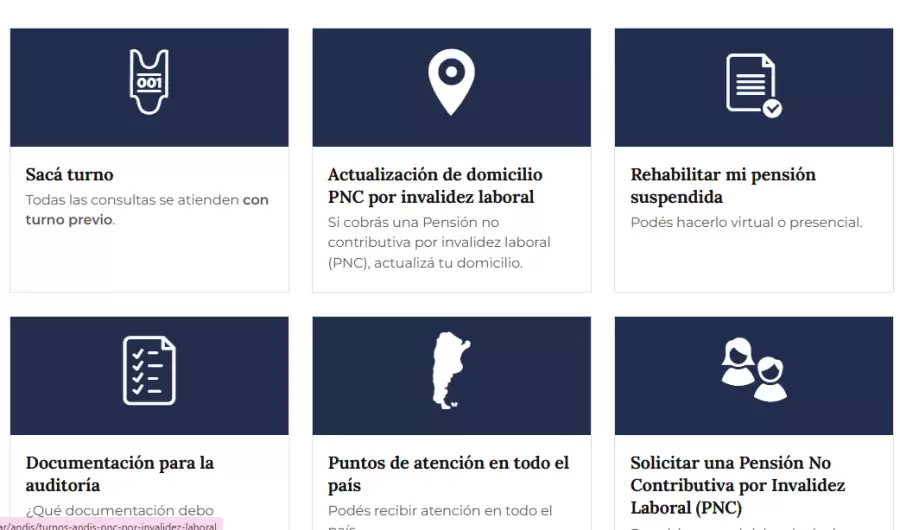 Parte de todo lo que se puede realizar en el sitio oficial de ANDIS