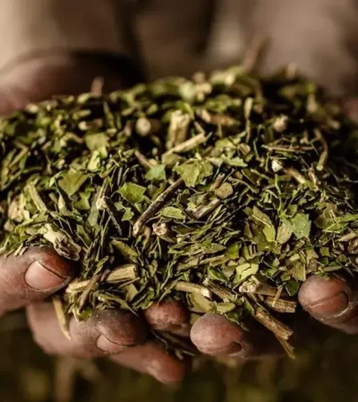 Residuos que se transforman en economía.