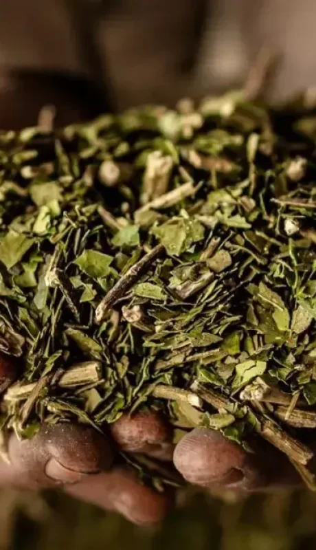 Residuos que se transforman en economía.