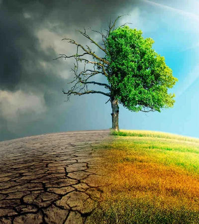 "El planeta, como sistema, es energía. Y esa energía que está acumulando se va transformando" (S. Melchor)