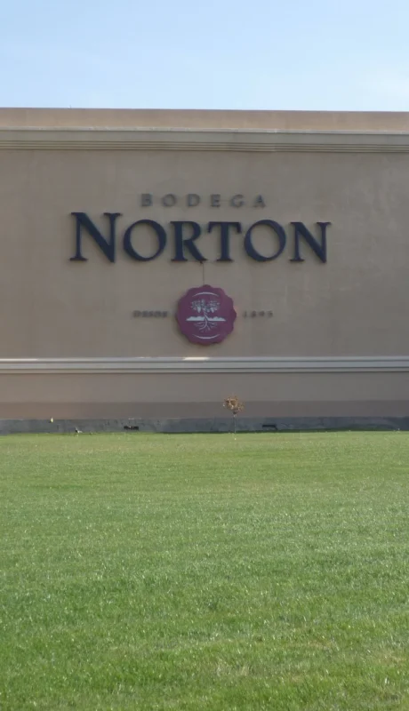 Bodegas Norton en problemas graves