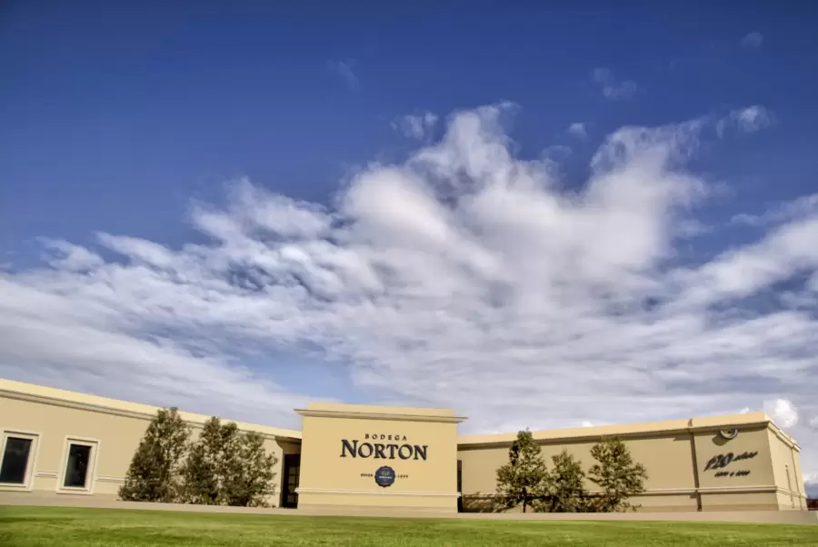 Bodega Norton