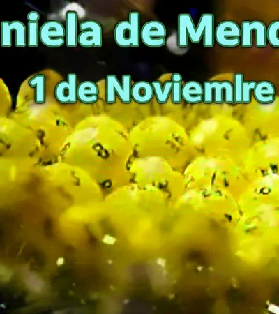 Quiniela de Mendoza del 1 de noviembre