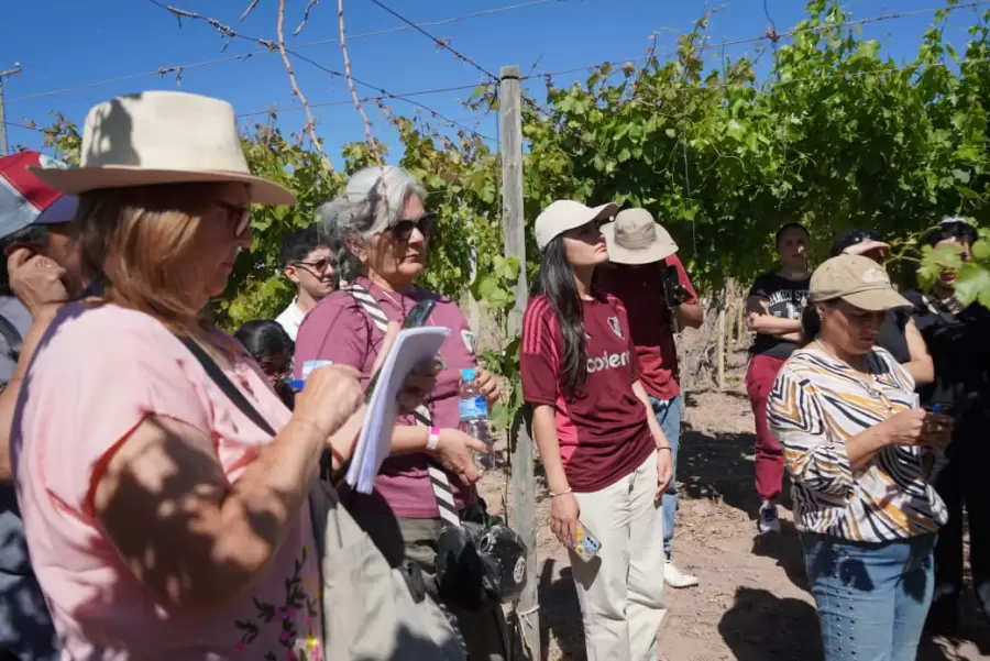 La 8va edición del Seminario Latinoamericano de Vino Casero y Artesanal reunió a expertos y productores locales e internacionales